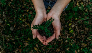 Verantwortung für Energie und Umwelt