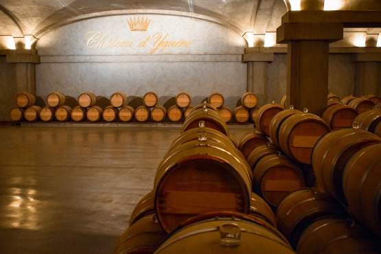 Caves du Château d'Yquem