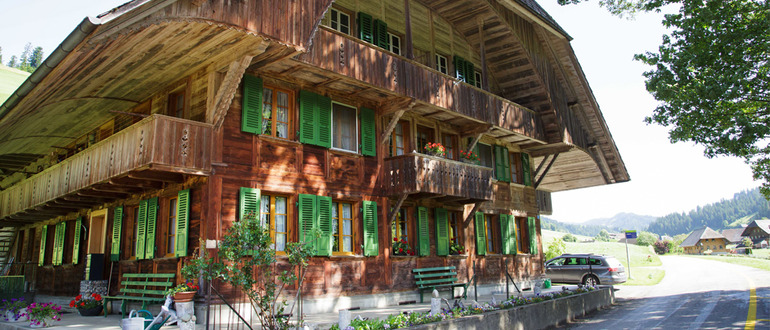 Famille Fankhauser, Mühlehof, Trub