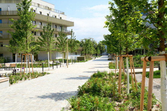 Wohnquartier Hirschfeld in Wien