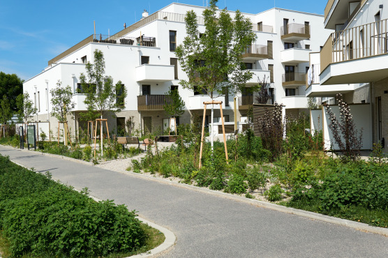 Wohnquartier Hirschfeld in Wien