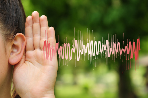 Krajnji kupac - Investitor