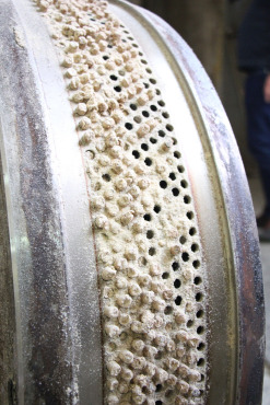Produktion der Pellets