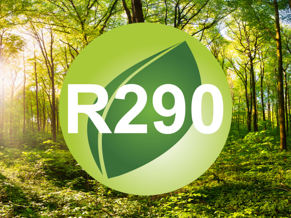 r290