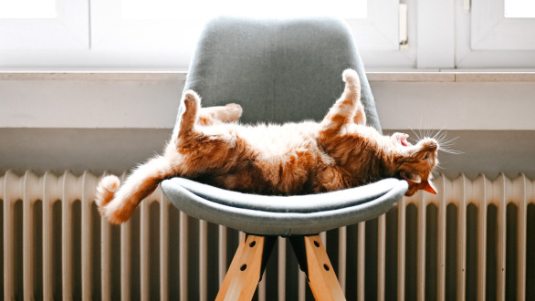 Client final - Investitor