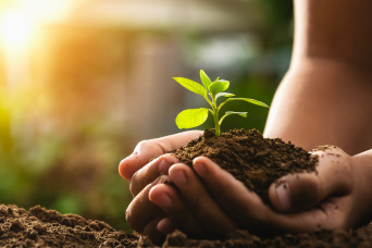 Hoval posjeduje certifikat ISO 14001