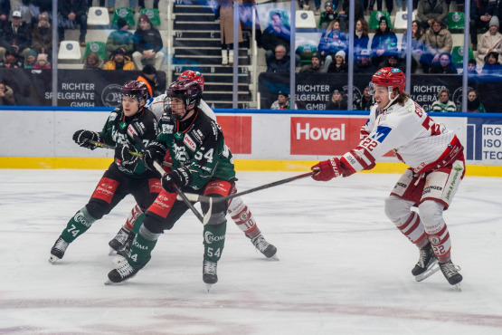 In der Saison 2025/26 treten die Starbulls Rosenheim in der zweiten Eishockeyliga an.