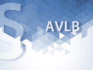 Allgemeine Verkaufs- und Lieferbedingungen (AVLB)