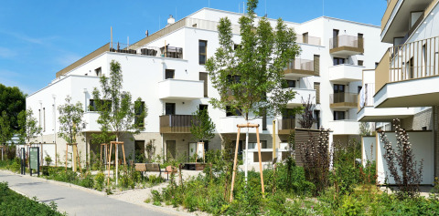 Hirschfeld Wien: Hoval als Systempartner für innovative Energielösung im urbanen Wohnbau