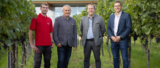 Winzer Krems: Hallenklimalösung sorgt für ideale Lagerbedingungen im Gär- und Reifekeller